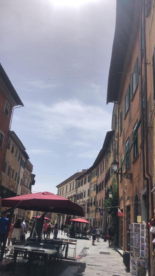 La Piccola Magia Leilighet Pisa Eksteriør bilde